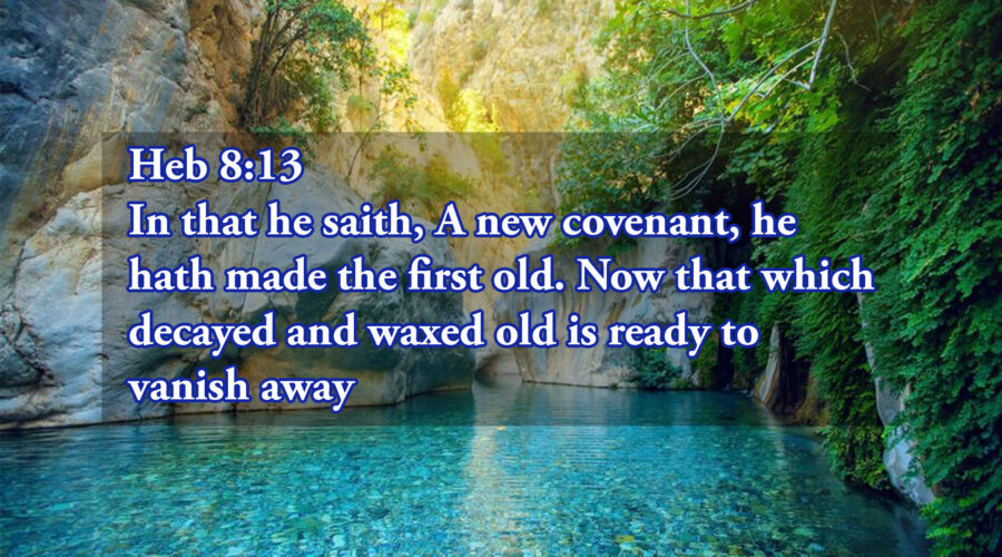 The New Covenant Law